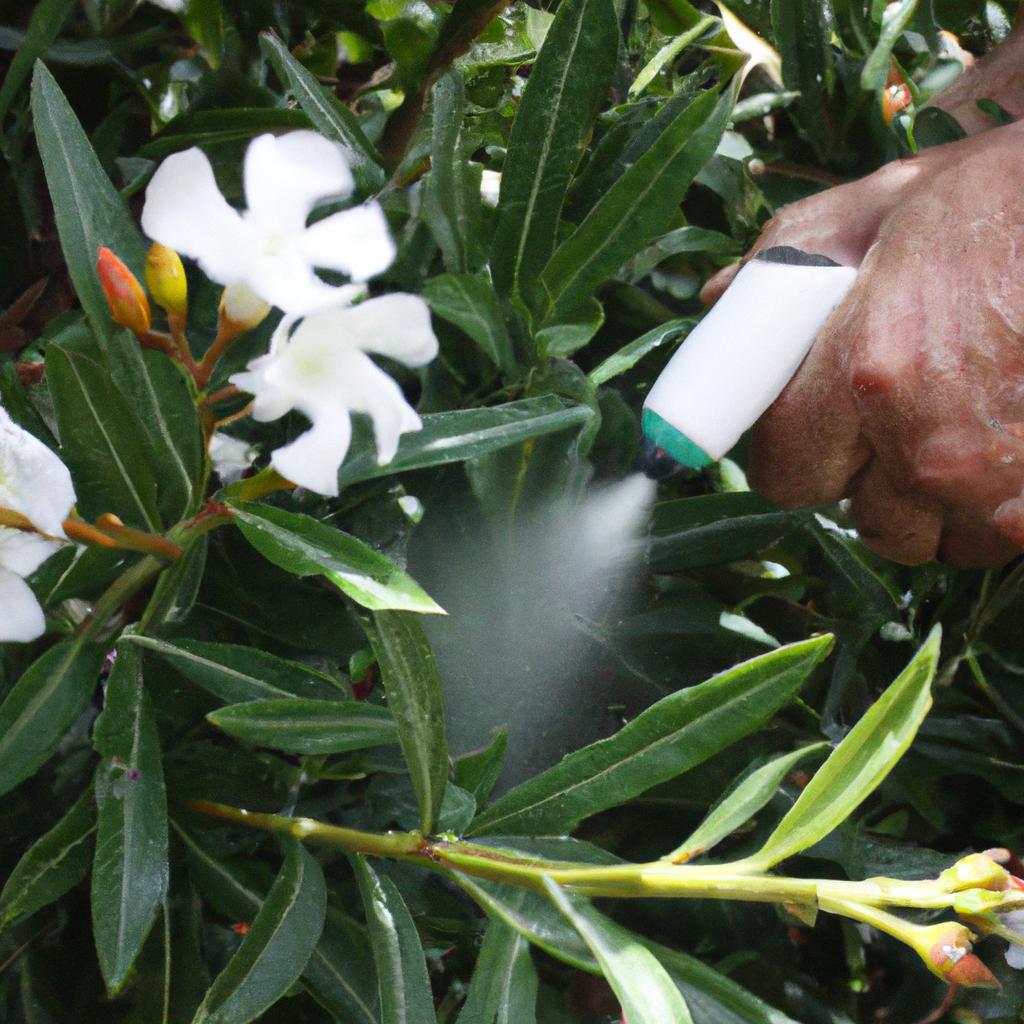 Person spraying plants with organic spray