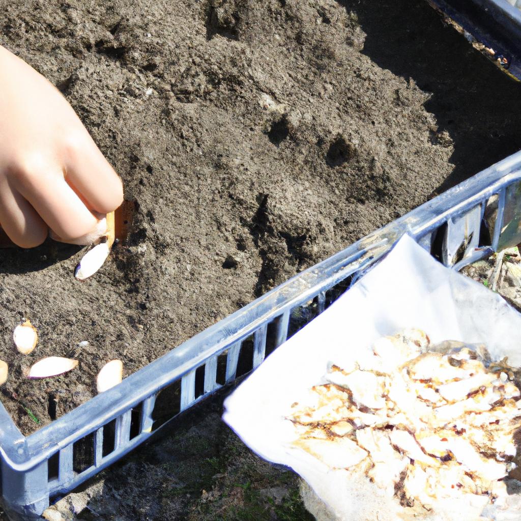 Person planting pumpkin seeds outdoors